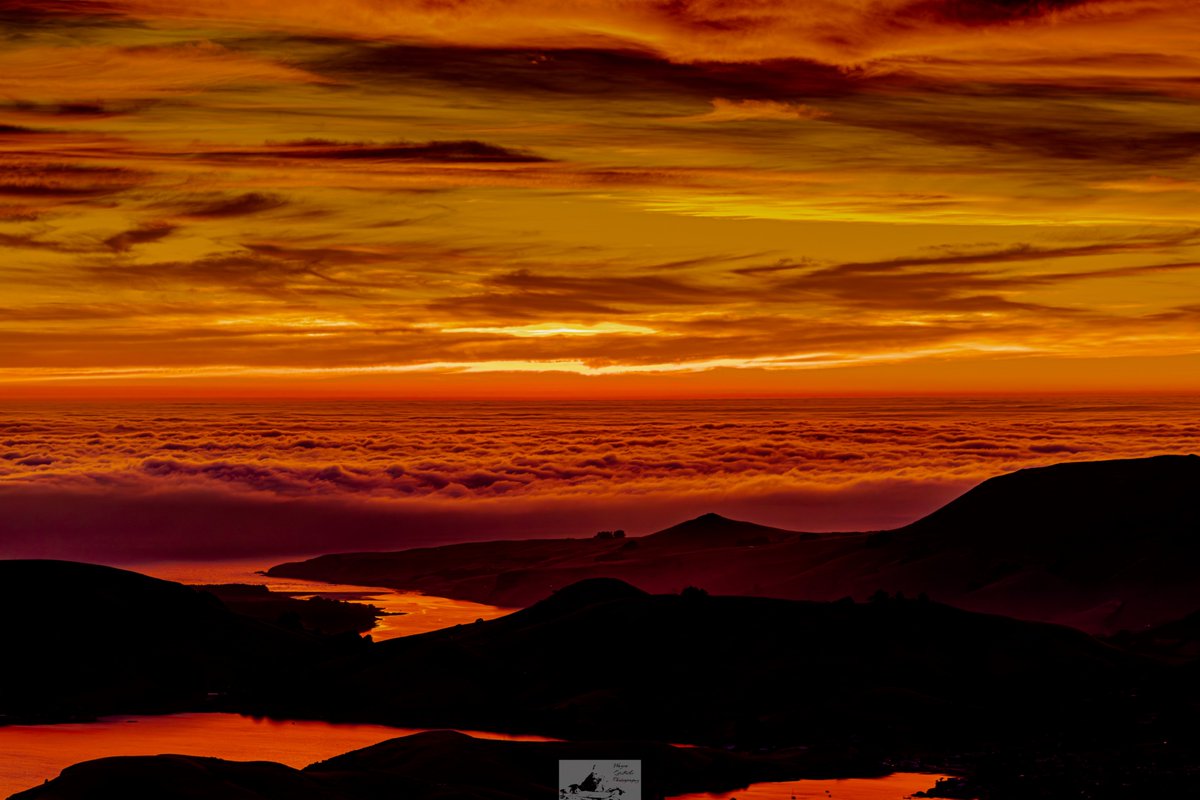 HardingGruff's tweet photo. Something, something, red sky in morning #landscapephotography #goldenhour #dunedinnz #purenz #stormhour #photographylovers https://t.co/oOERQdl9YK