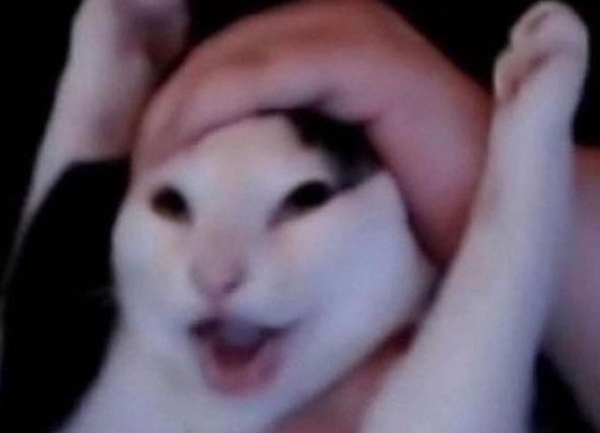 superharoldbros89 tweet media