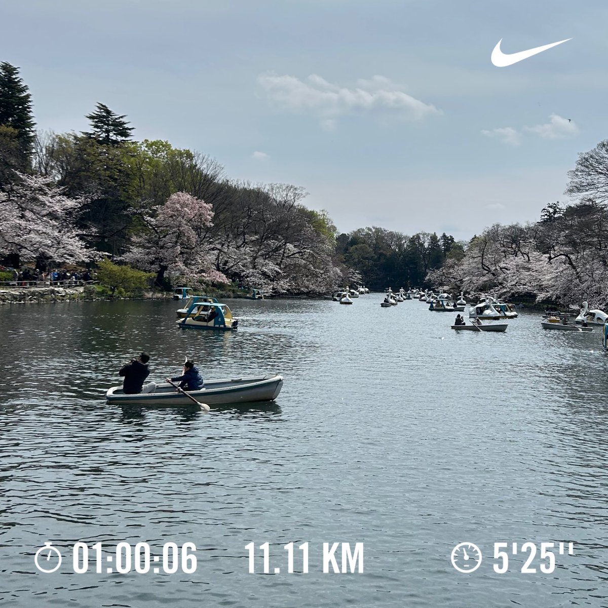 yuichiroproject's tweet photo. 2025.4.12 土 ☀️

久しぶりの #井の頭公園 ポッキーランポスト📮

異動してまだ慣れないモヤモヤやストレスが抜けたー✨

良い週末をお過ごしください🇯🇵

#nike #ラン #朝ラン #マラソン #ランニング #ジョギング #サブ4  #大迫傑 #ダイエット #筋トレ #減量 #ガーミン  #日本郵便 https://t.co/bfTiMzWvvt