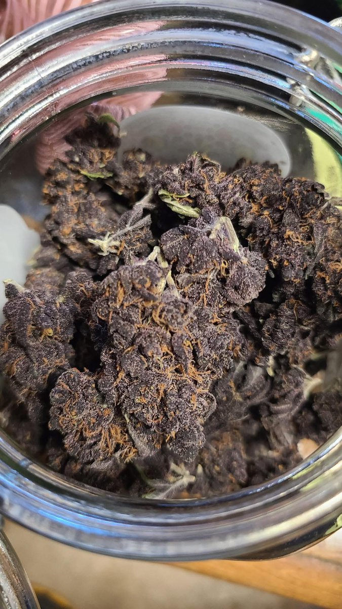 STONERS R US 🍃 tweet media