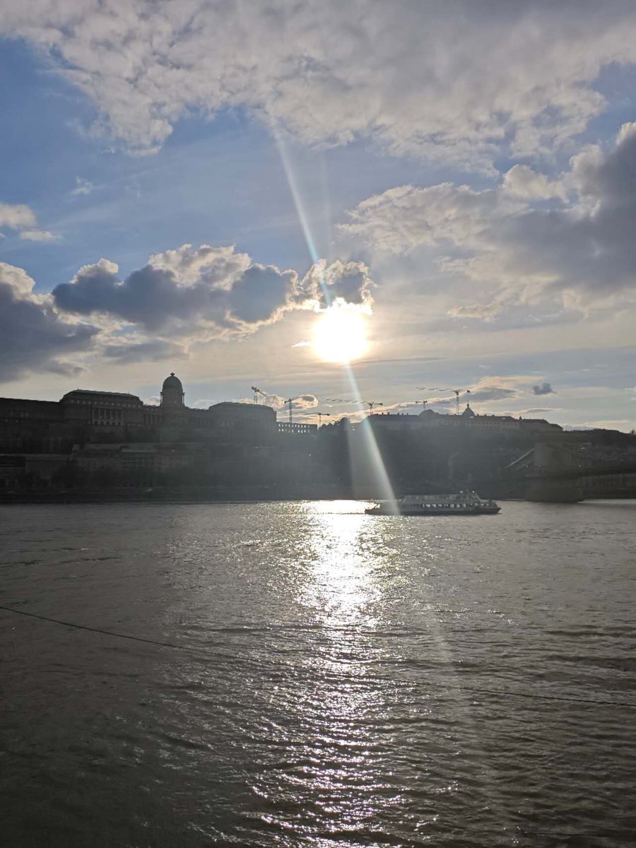 老鼠爱打洞 tweet media