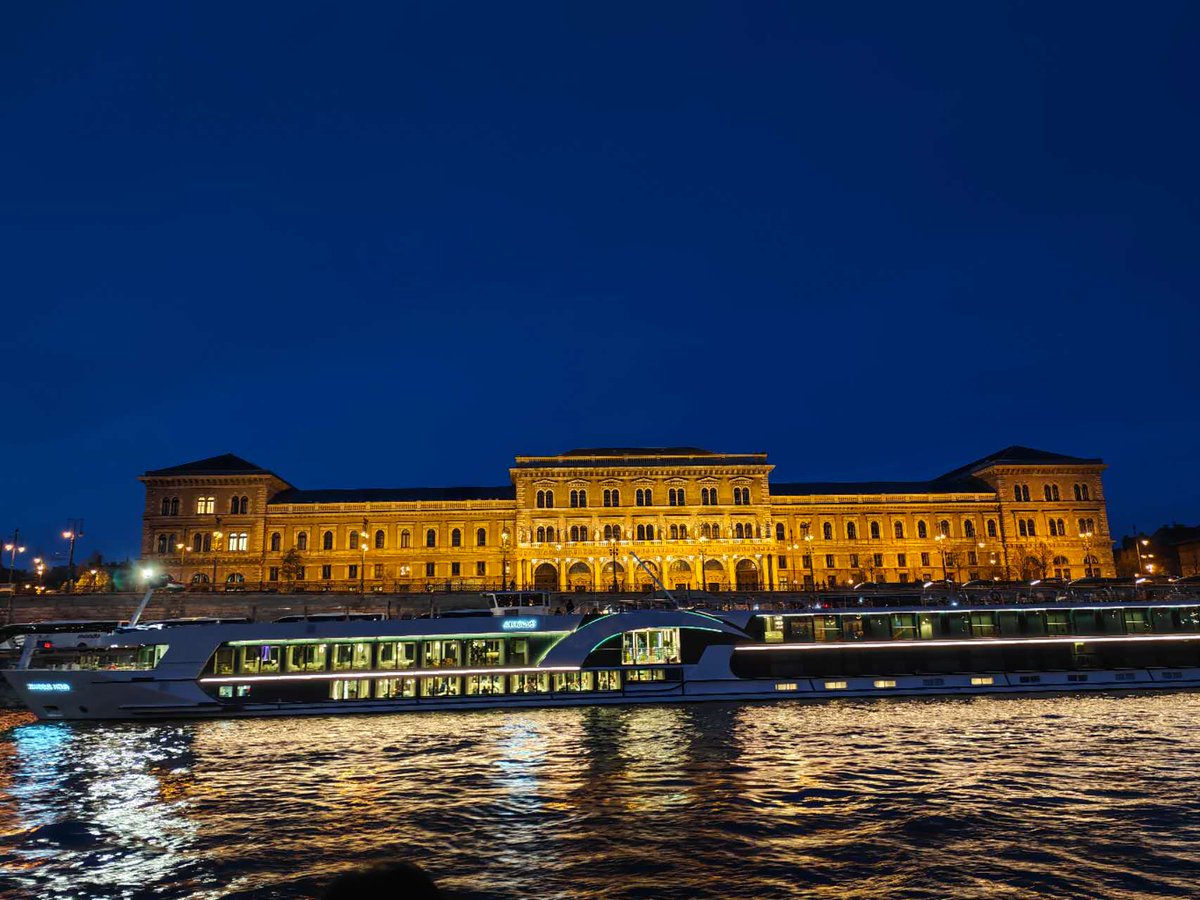 老鼠爱打洞 tweet media