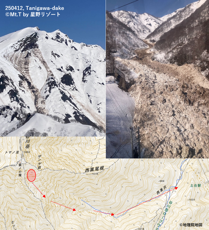 npo_jan's tweet photo. 240412, #谷川岳, 全層雪崩, size 4, 流下標高差約1,000 m, 流路距離約2,800 m, 発生は11日夕方から12日朝までの間。
　　
Mt.T by 星野リゾート・スキーパトロールからの情報提供。
#nadare2025 https://t.co/mqGy4k48O6