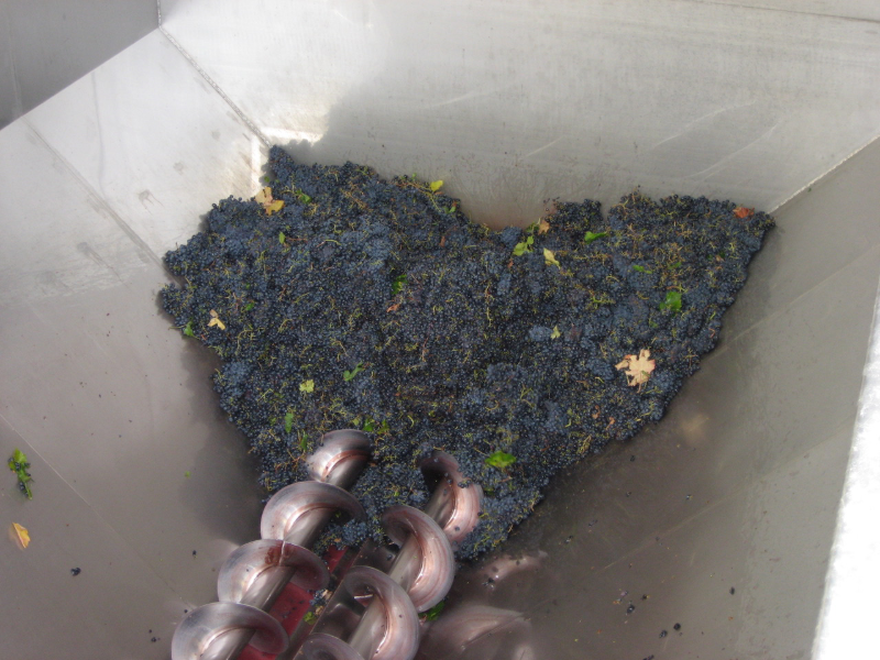 WineReviewOnlin's tweet photo. The Grammar of Tannin: 
Gabriele Gorelli MW Deconstructs 
Texture at Vinitaly 2025
By @JessicaNDupuy 
https://t.co/YhPEM0rCaV  #wine #tannin https://t.co/rQCUumxW69
