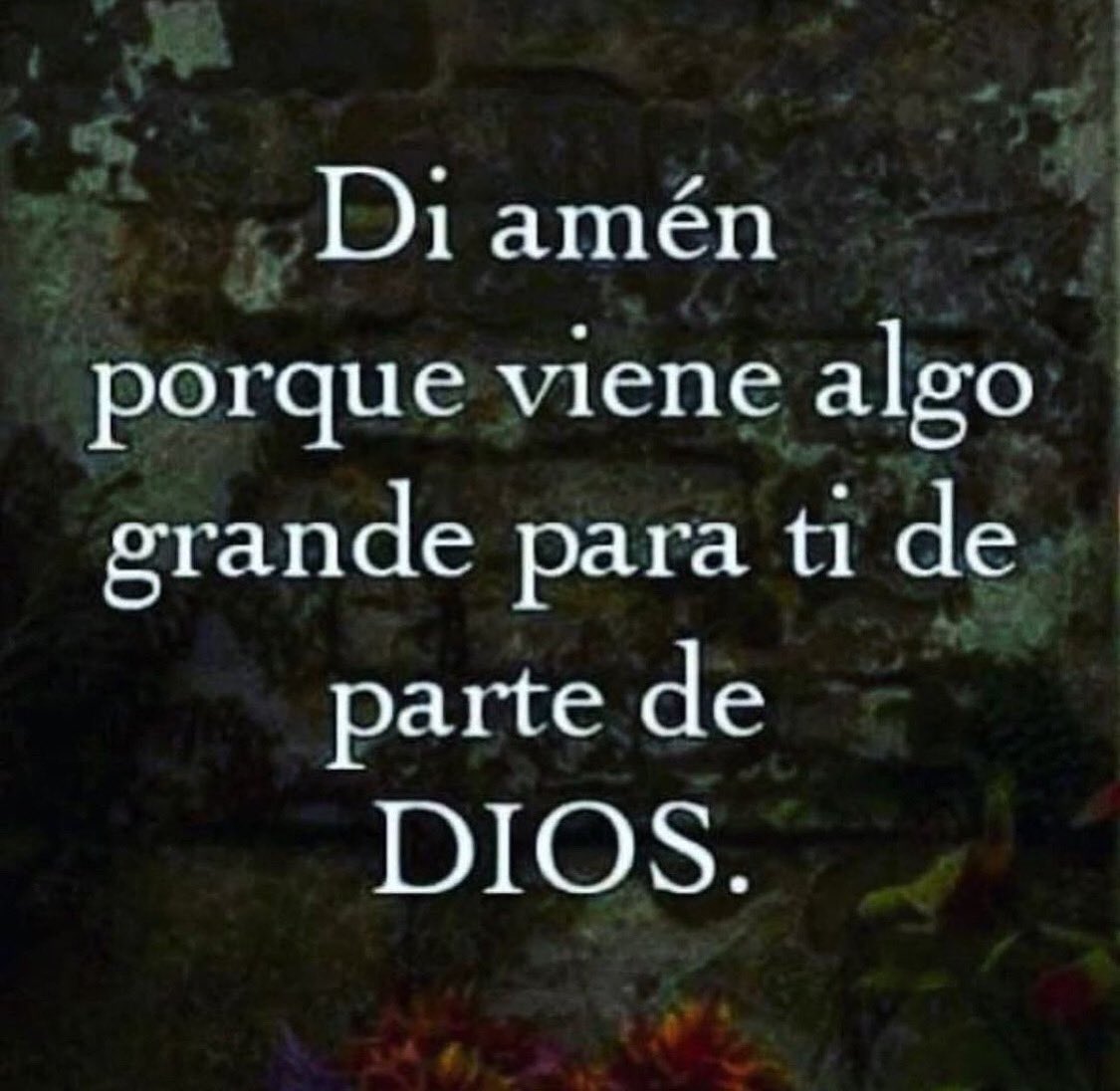 DIOS Une a Sus Hijos tweet media