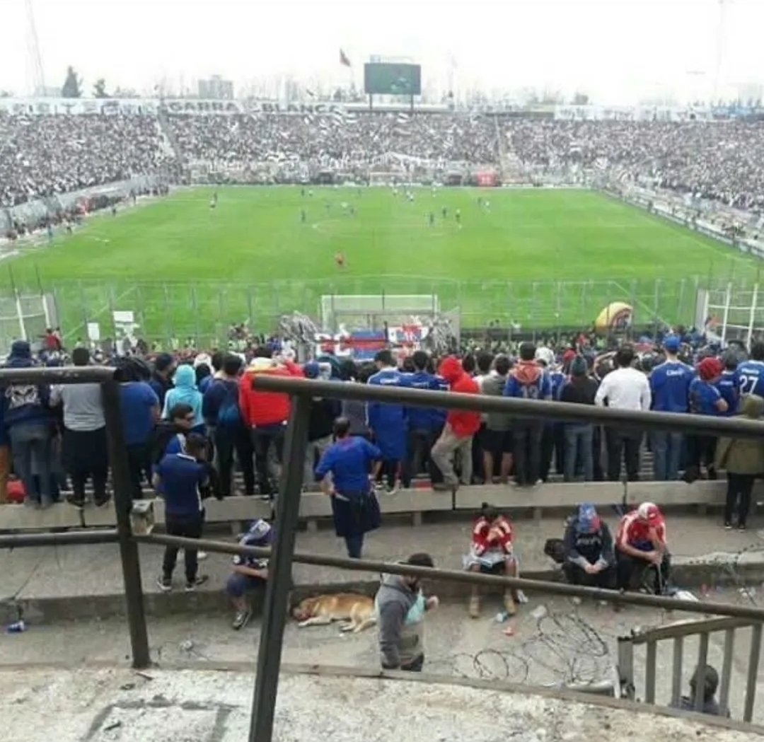 pepechaaarly's tweet photo. Recuerden que su moda volvió en el año 2024 no más, para que no anden tan levantados de raja, si los hemos tenido de perkines toda la vida, las fotos no son weonas. https://t.co/AAhPrKwsLN