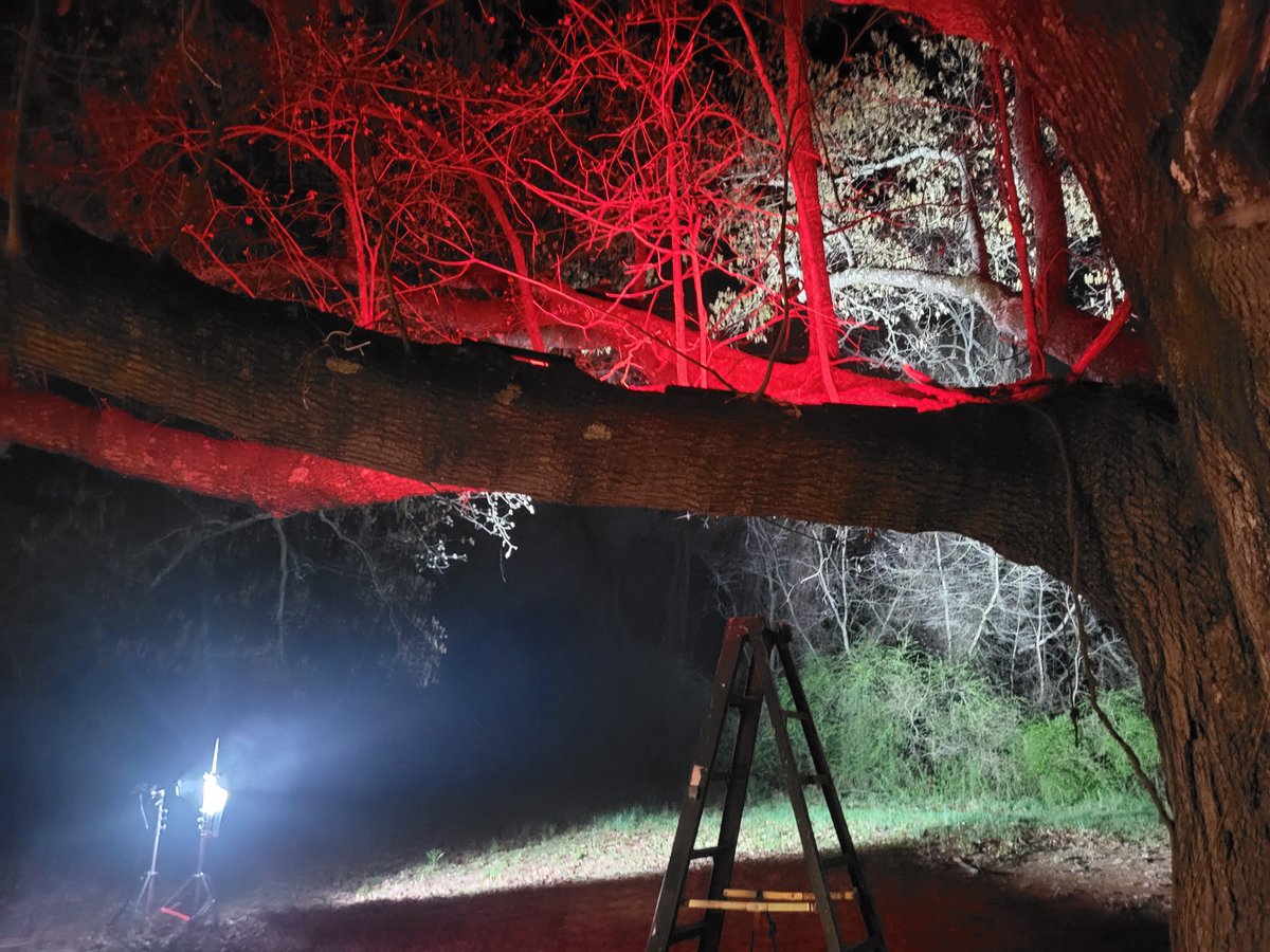 Music video shoot with the crew!  Official video in the works. 🤙 #musicvideo #behindthescenes #hiphop #music #rapper #rap #hiphopmusic #hiphopartist #musicproduction #bermudaimageentertainment #filmlife #filming #musician #musiclover #rapartist #rapper #production #stills #film