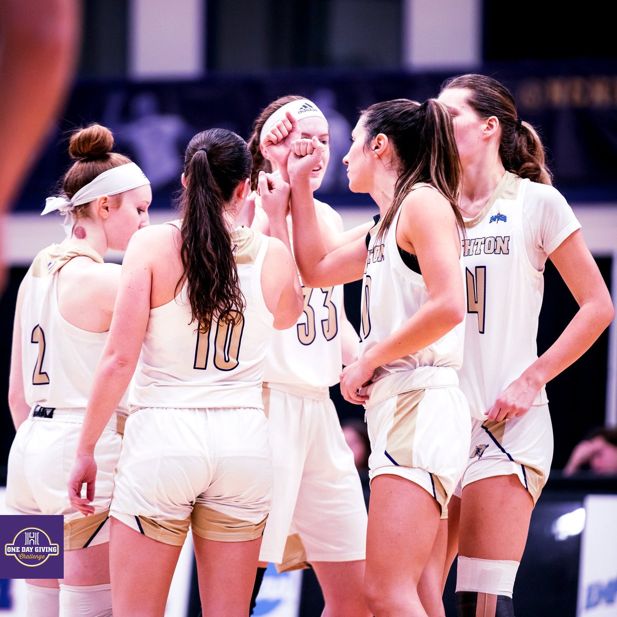 LAST PUSH‼️ With just under 2.5 hours left in the One Day Giving Challenge there is still time to donate! WE APPRECIATE YOU, HIGHLANDER NATION 🦁🏀
.
Please consider donating directly to women’s basketball using the link in our bio.
.
#GoHighlanders