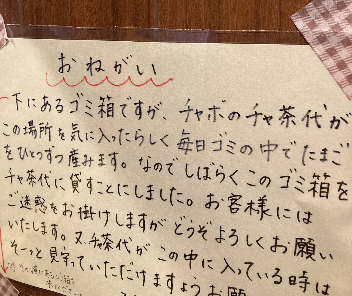 ゴミ捨てようとして３度見した
