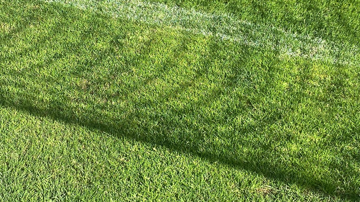 elantiseguido's tweet photo. El domingo a las 12:30, los quiero ver a todos en Collao.
La cancha visualmente se ve muchísimo mejor y ojalá nos permita hacer nuestro mejor fútbol.
No hay excusas para no asistir en familia y hacernos más fuertes de local.

No podemos ser menos de #10MilEnCollao #ElConce 
💜🦁 https://t.co/liTW8T4ELl