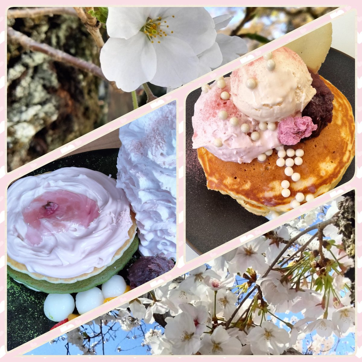Kimi392's tweet photo. 🌸 桜とパンケーキ・Fleurs de cerisiers et pancakes 🥞
📆 ２０２５年３月・Mars 2025
📍 クリスクロス・Crisscross  
📍 エッグスンシングス・Eggs'n Things 
#パンケーキ #東京 #エッグスンシングス #クリスクロス #Japan #桜 #花見 #日本 #表参道 #川崎 #foodporn #Japan #キミのブルートラベル https://t.co/3uJwca3Sq2