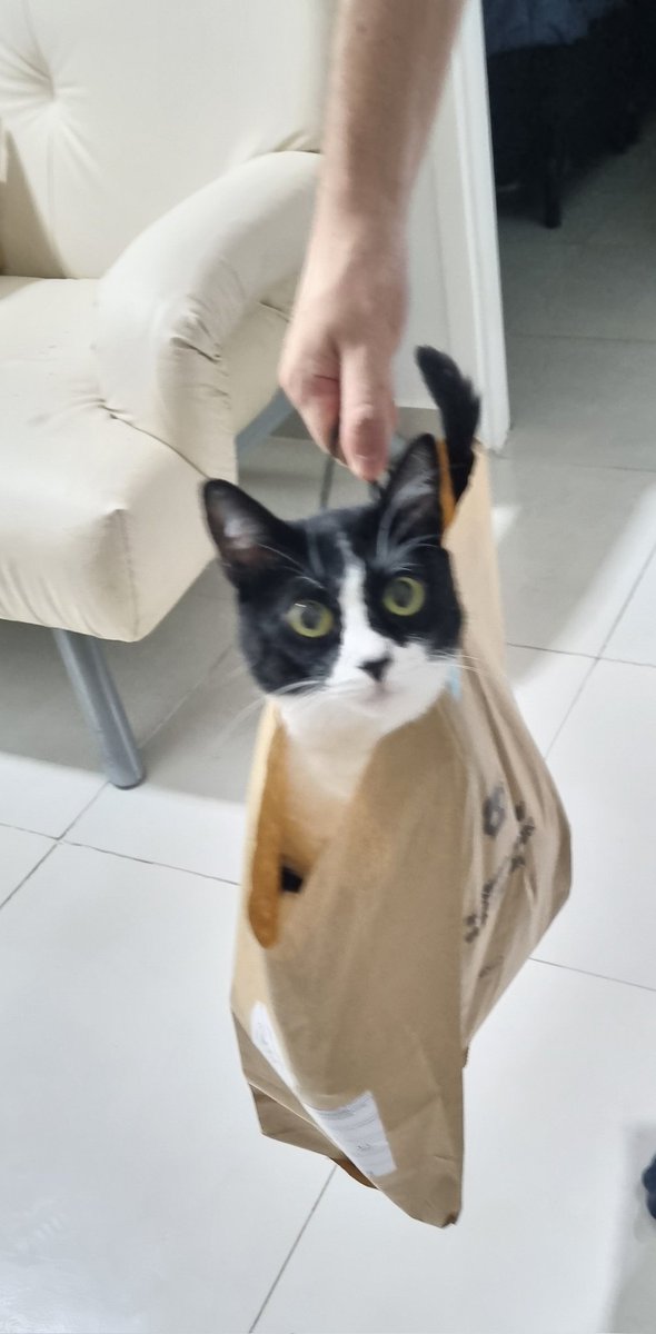 casaquinhoss's tweet photo. fiz uma compra https://t.co/PP8ktufmWP