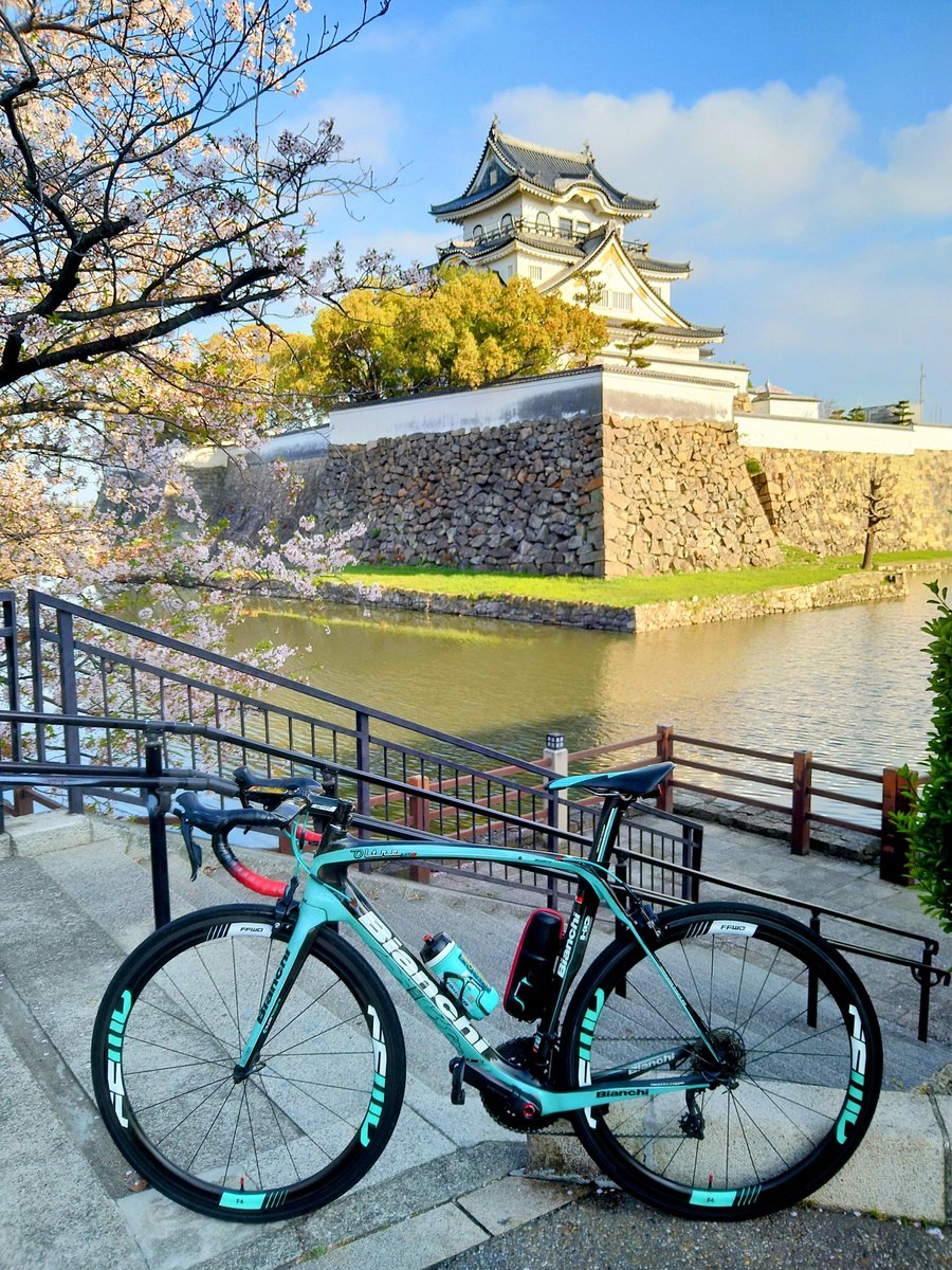葛城へ行く前に岸和田城