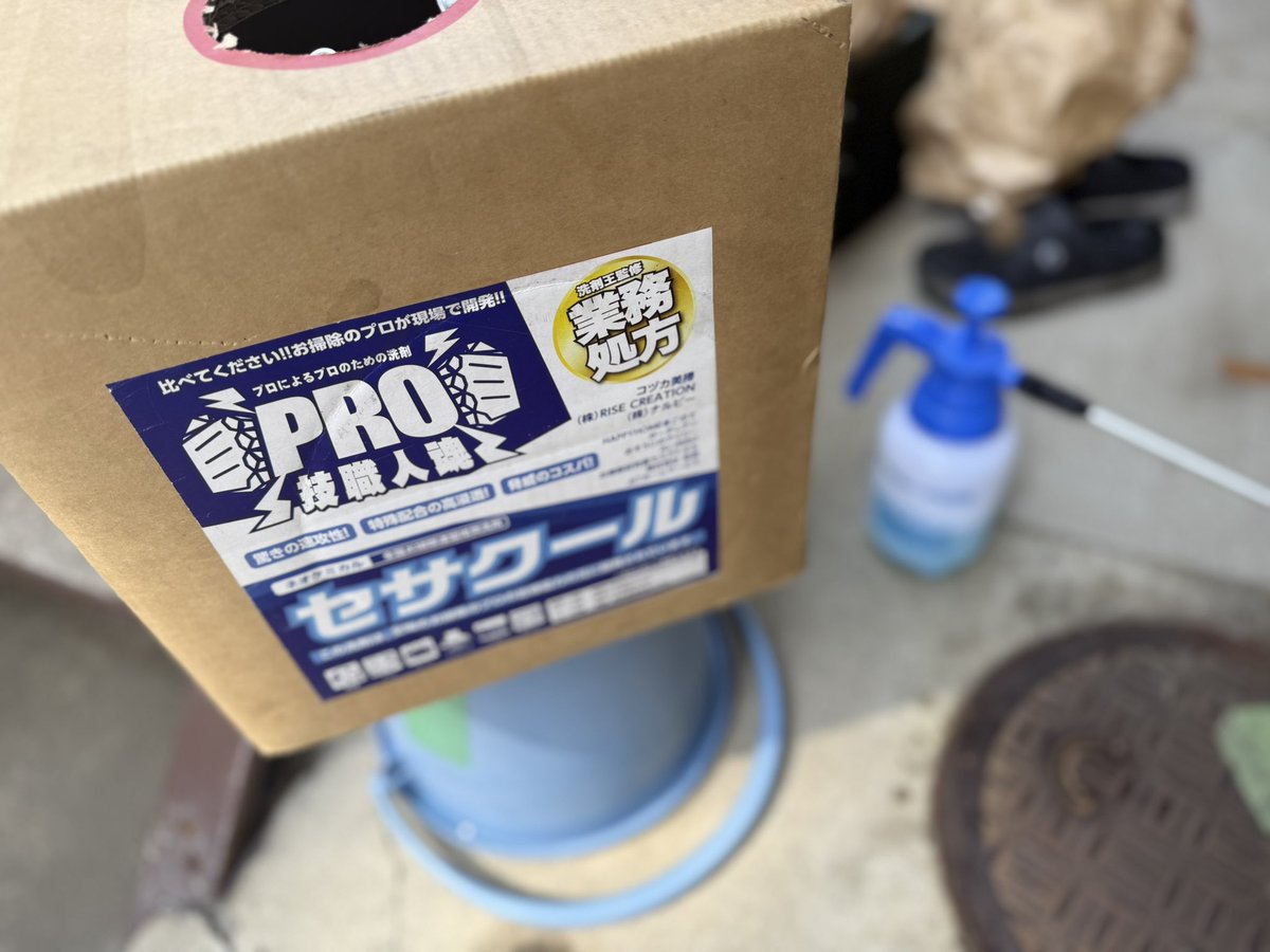 今日の現場のお友達🤭ᩚ

めっちゃ取れるよぉぉ🥰🥰🥰
 #セサクール
 #インセサミ
#毎度おなじみ職人シリーズ
#職人シリーズ
