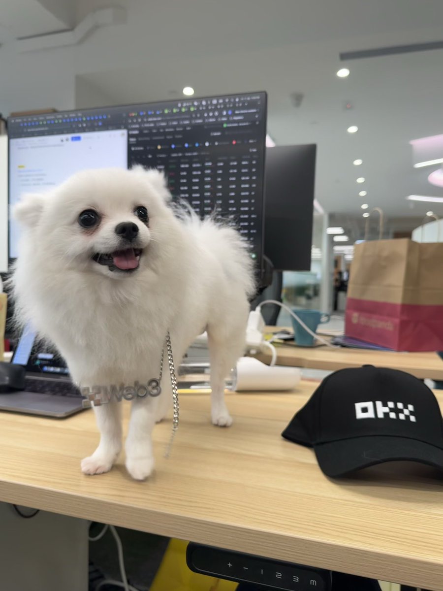 OKX中文 tweet media