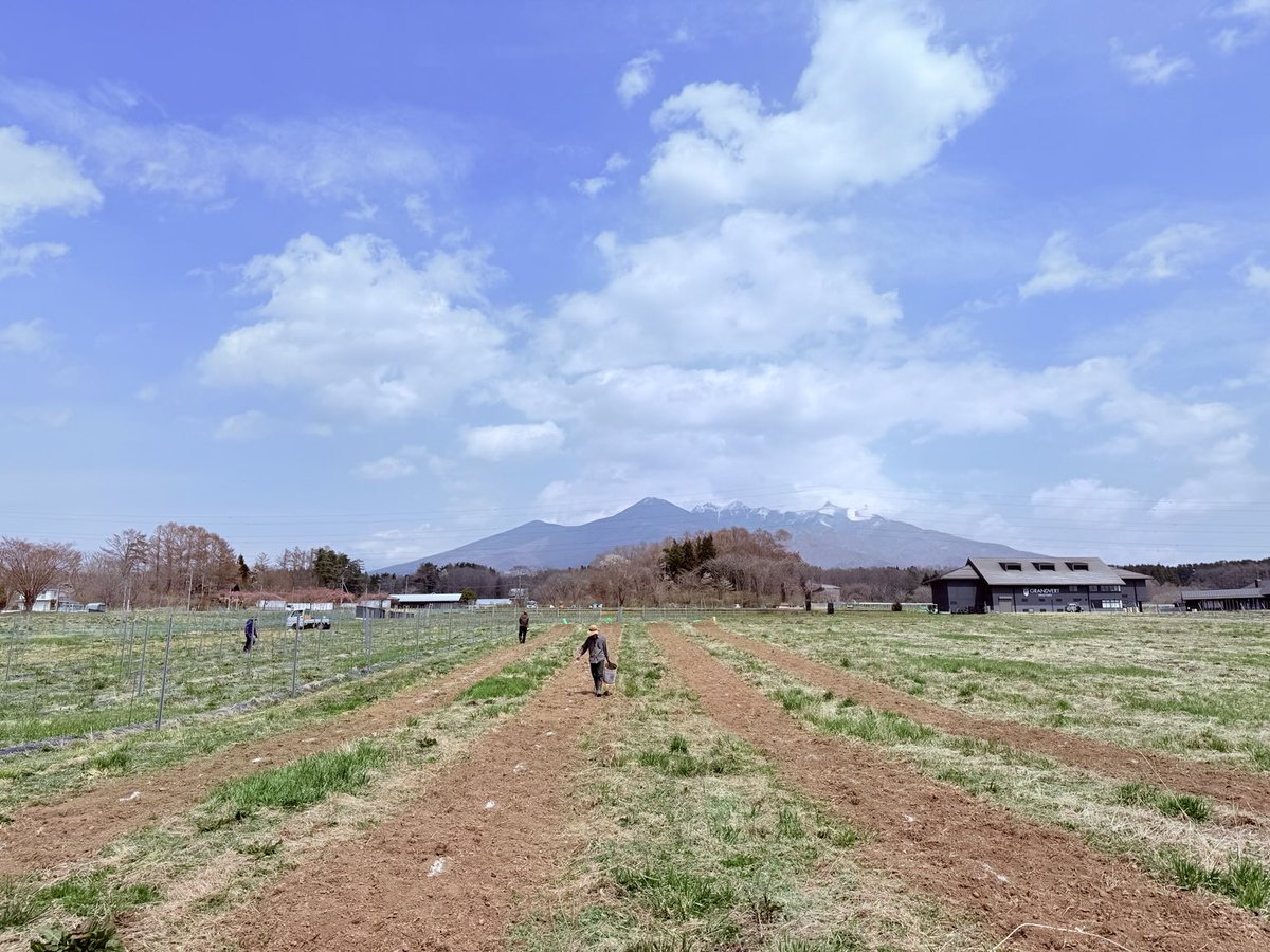 YGV_official's tweet photo. 新しくリースリングを植え付け予定の場所にようりん散布を行っています。気温も20度近くまで上がり、暖かい日が増えてきました♪

#リースリング #八ヶ岳グランヴェールヴィンヤード #cityfarm #施肥 https://t.co/xf64Sn4HGh