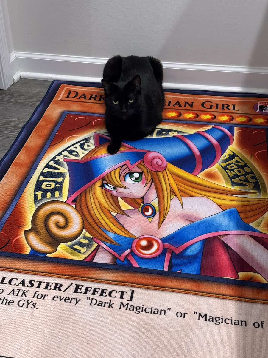 For the last time I don’t have a yugioh problem.