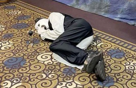 G ┈ 𐍂𝙴𝚊̳T ‍ ‍ *𝗠i͜L𝙴NK𝙾 ‍ ‍ . tweet media