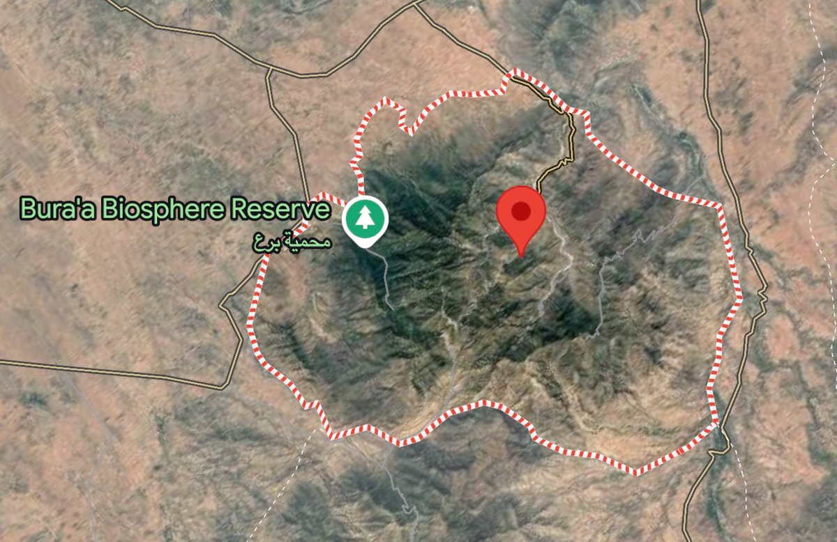 عاصم المجاهد | Asem Al_Mujahed tweet media