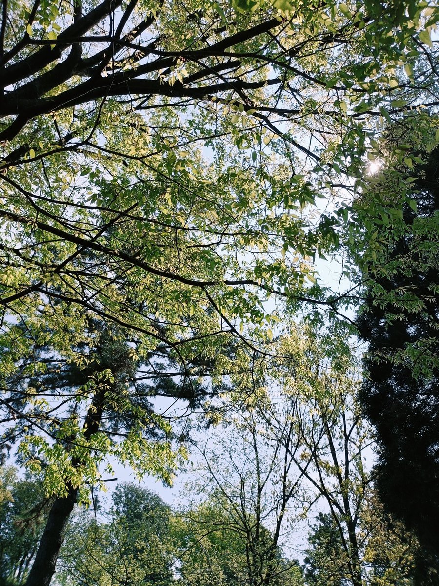 4月の公園