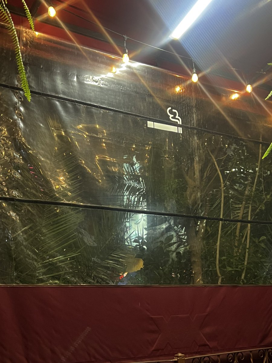 Avizzpon's tweet photo. En @BJAlcaldia hay corrupción con #ElSencillito ?    Está prohibido que permitan fumar a los comensales , incluso en las mesas que tienen en la banqueta.  O se permite ? https://t.co/TcmexMDAp1