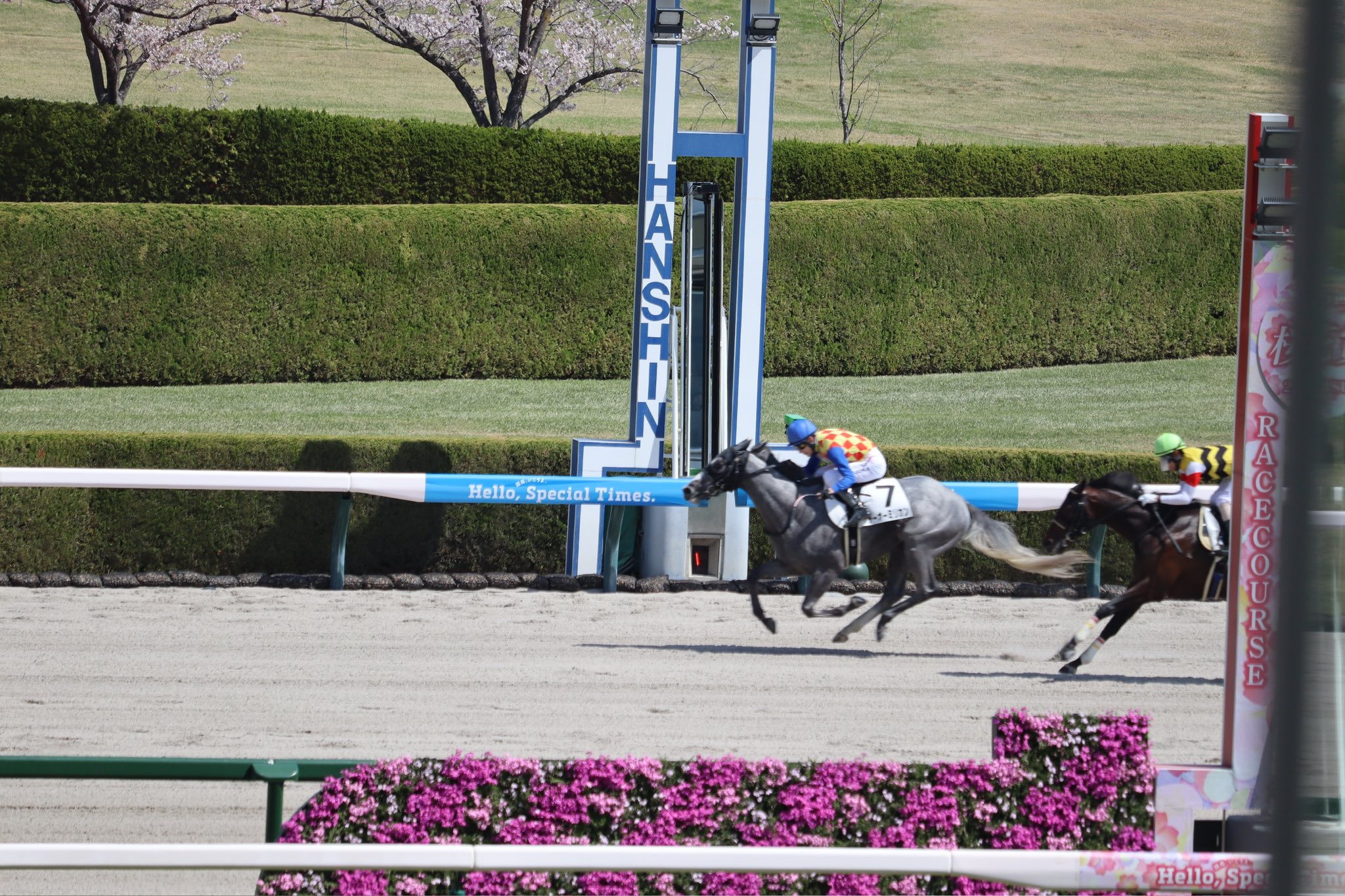 はっさん@ベルーガ産駒 on X: 