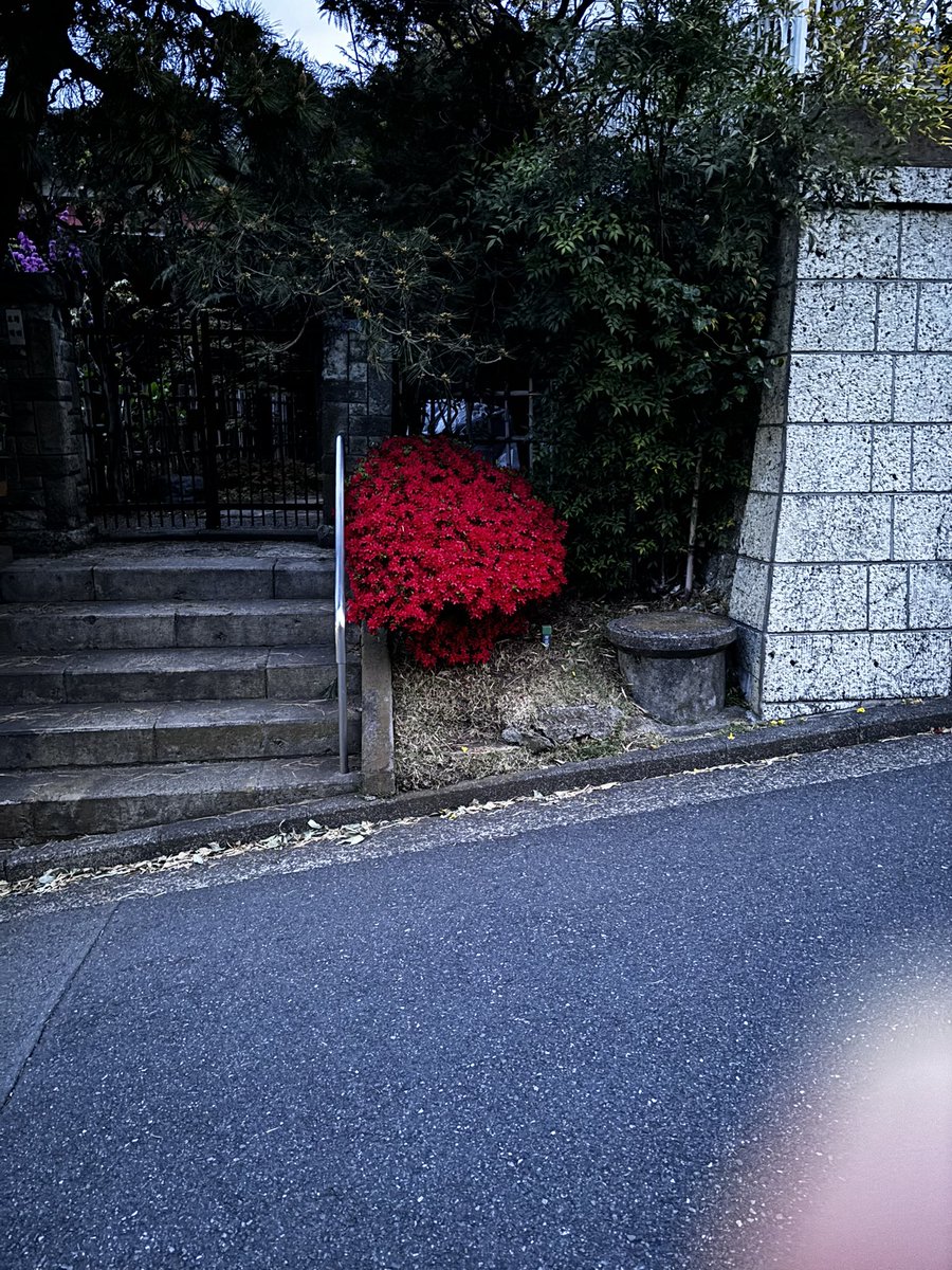 karanoyubune's tweet photo. https://t.co/BuX9rs2fxi