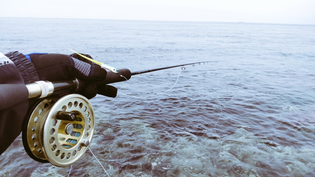FisherNao's tweet photo. 今日はベタ凪〜ソルトフライ
潮は良い感じに流れて瀬の上をダウンクロスにトレース出来る

想像してましたが魚は
お留守でした🤣

沖ではイルカが楽しそうに🤣🐬 https://t.co/eatOhbMOpO