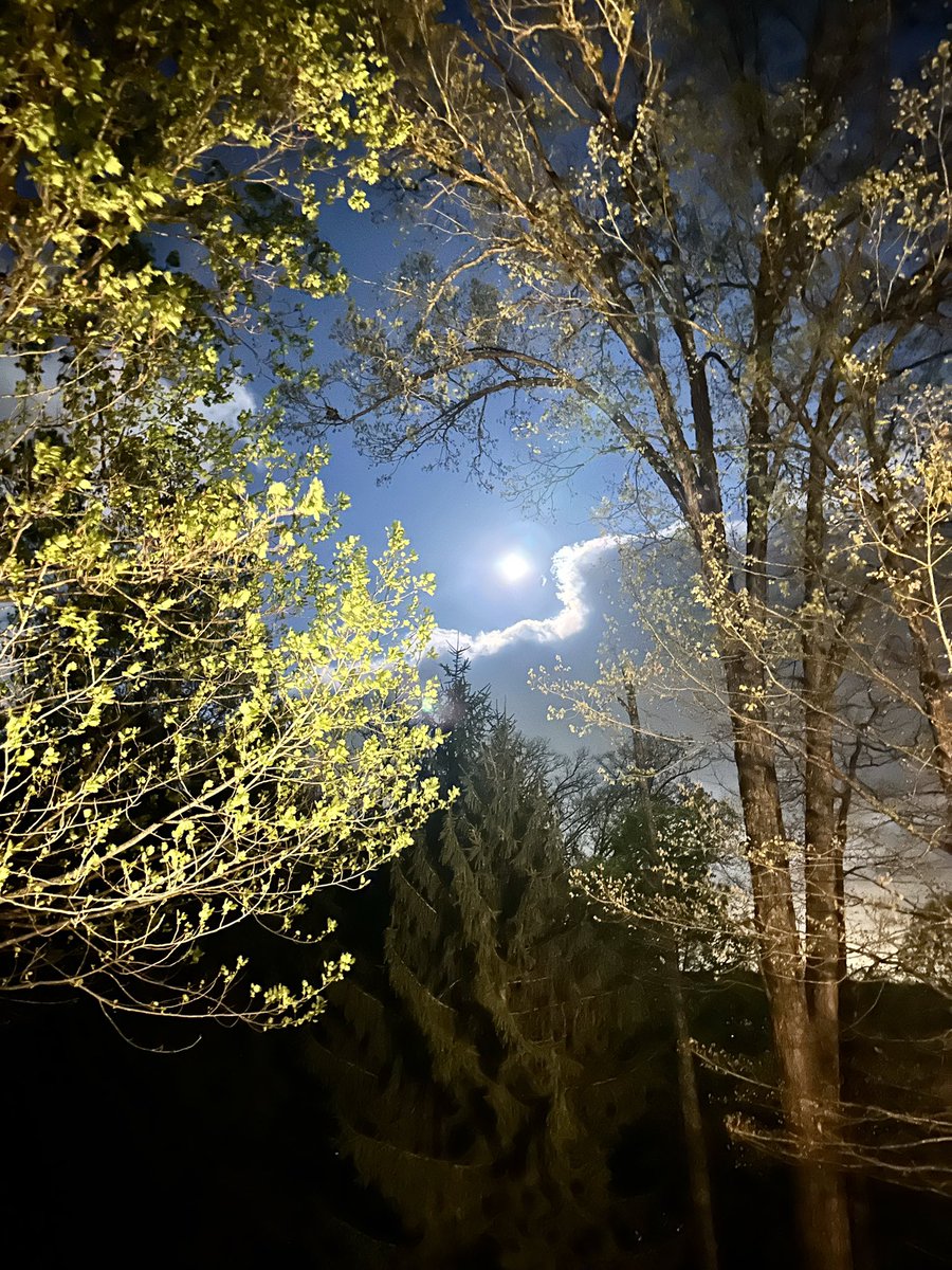 AutosandMore's tweet photo. @10weather Full moon in Kodak https://t.co/0SJCk1f2Tw