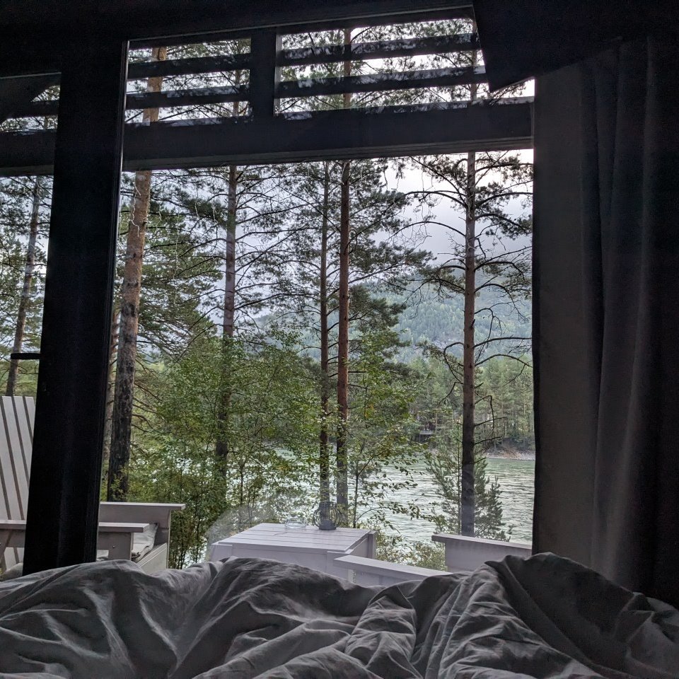 artem_tsk's tweet image. #NewProfilePic