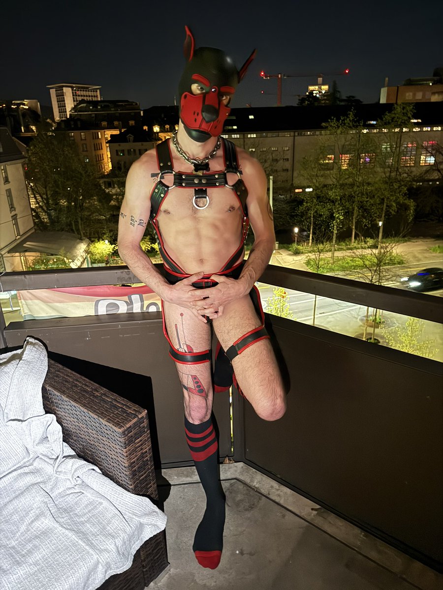 SpykeFFPup tweet media