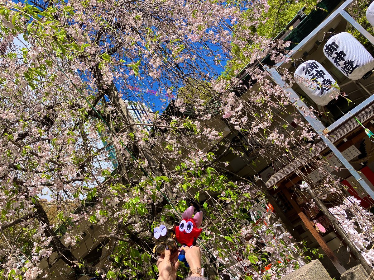 mika0706nissy's tweet photo. 🌸全国からNissyへ春をお届け📣🌸
#Nissy_Re10th 全力で完走したNissyへ全国から桜のプレゼント🎁
@5Bw6ua と大阪 露天神社⛩️
Nissyもきてみてね♡
#Nissy_NBC
#Nissy_Re10th最高の到達点をありがとう
#Nissyに私達から春のお知らせ
#各地の桜
#NissyへLippy_Rujju_桜
@NissyStaff https://t.co/Ca3GYtjli0