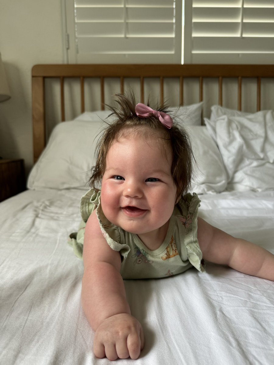 Bailey Stoken tweet media