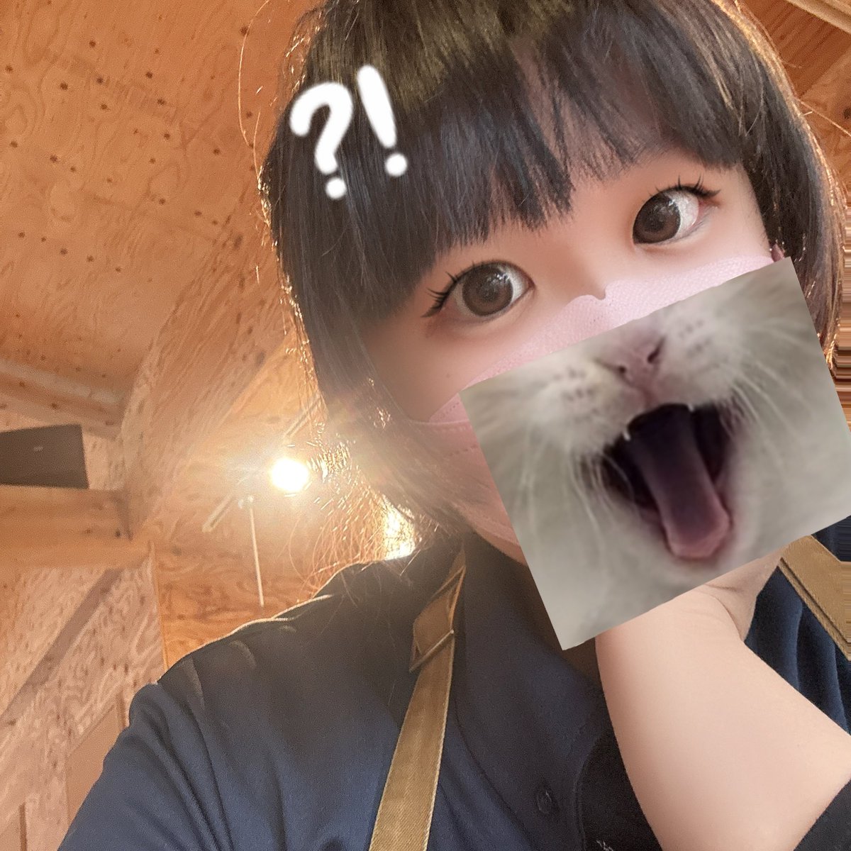 オープン時間ですがやる気ないから自撮りして遊んでる
クビ1歩手前なのに反省してない