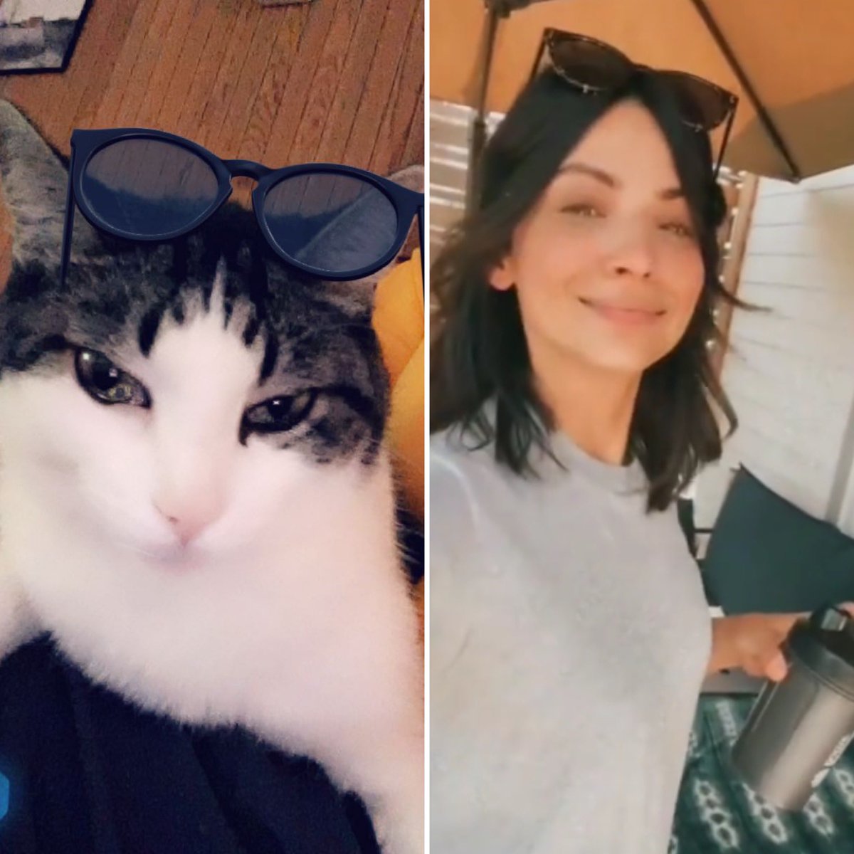 CurlyAsSanvers's tweet photo. #Sanvers #Flyler #CurlyAsSanvers #FlorianaLima #curlythecat https://t.co/Vba6n0Nk8g