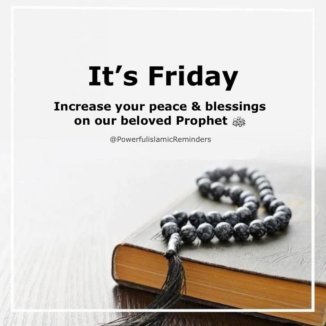 Everything Arewa tweet media