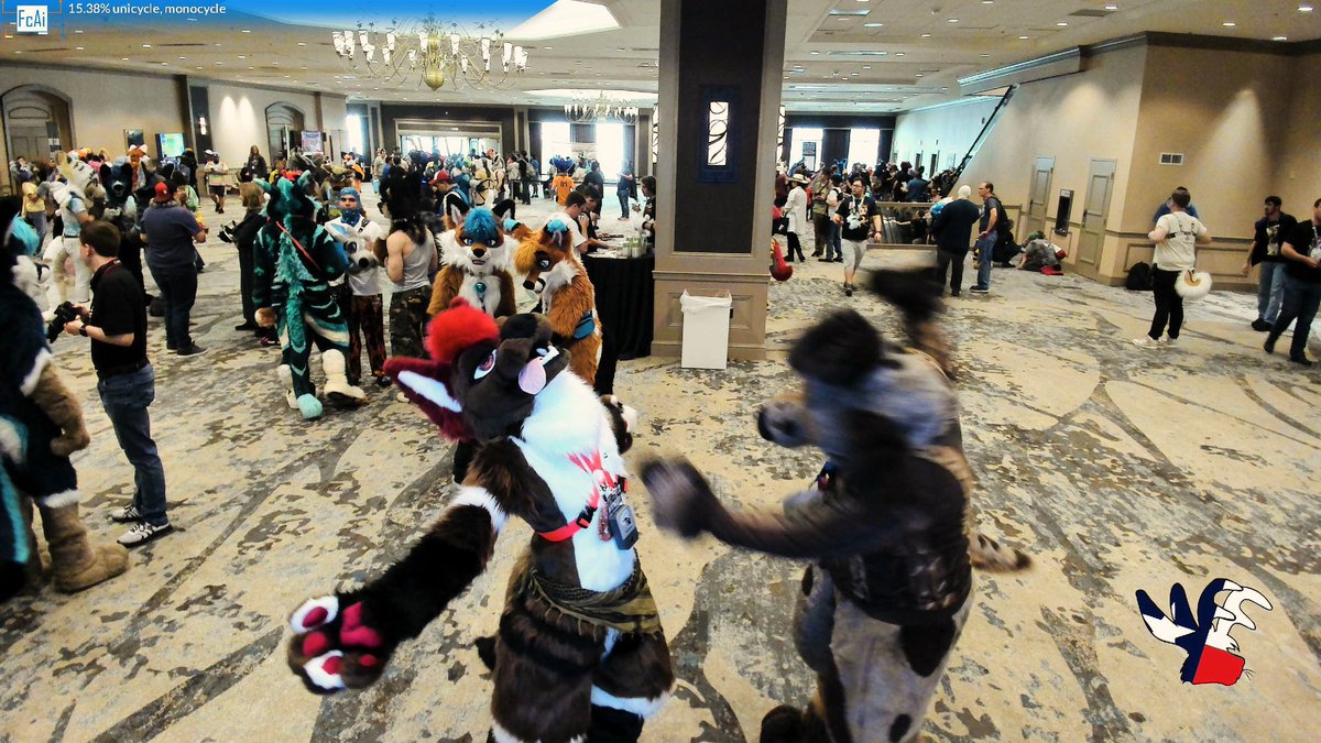 RinWusky (@rinwusky) on Twitter photo TFF shenanigans with <a href="/finn_dachshund/">Finn the Dachshund 🔜FD 🥜🧈🐶</a> it’s been a blast meeting you can’t wait to see you around again ! TFF shenanigans with <a href="/finn_dachshund/">Finn the Dachshund 🔜FD 🥜🧈🐶</a> it’s been a blast meeting you can’t wait to see you around again !