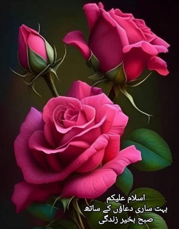 السلام علیکم!