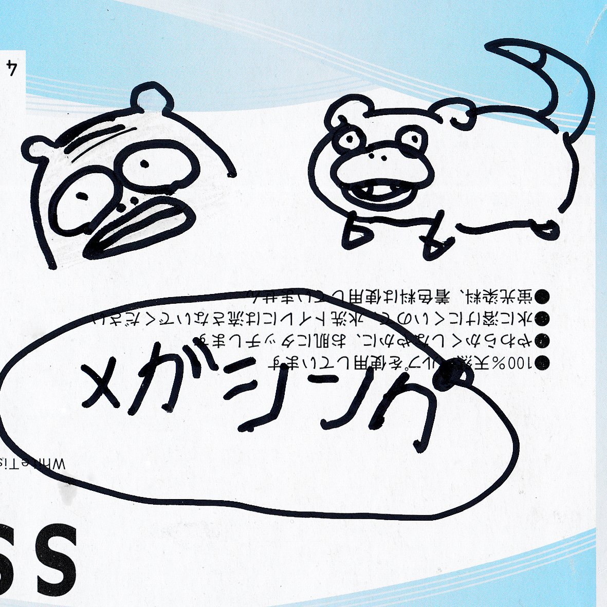 「ヤドン、どんなだっけ?」
から始まった奥様とのヤドン対決。

#ヤドン #ポケモン 