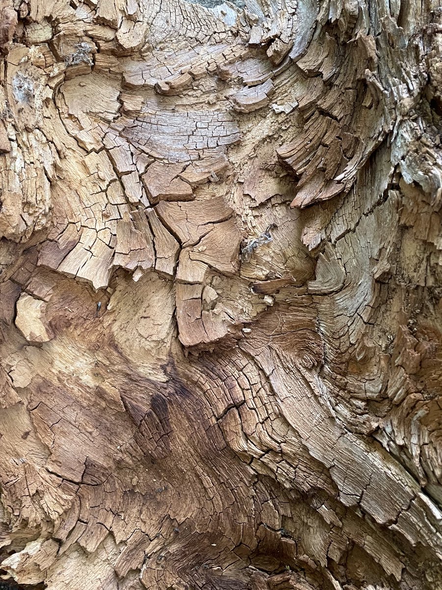 the answer is here somewhere