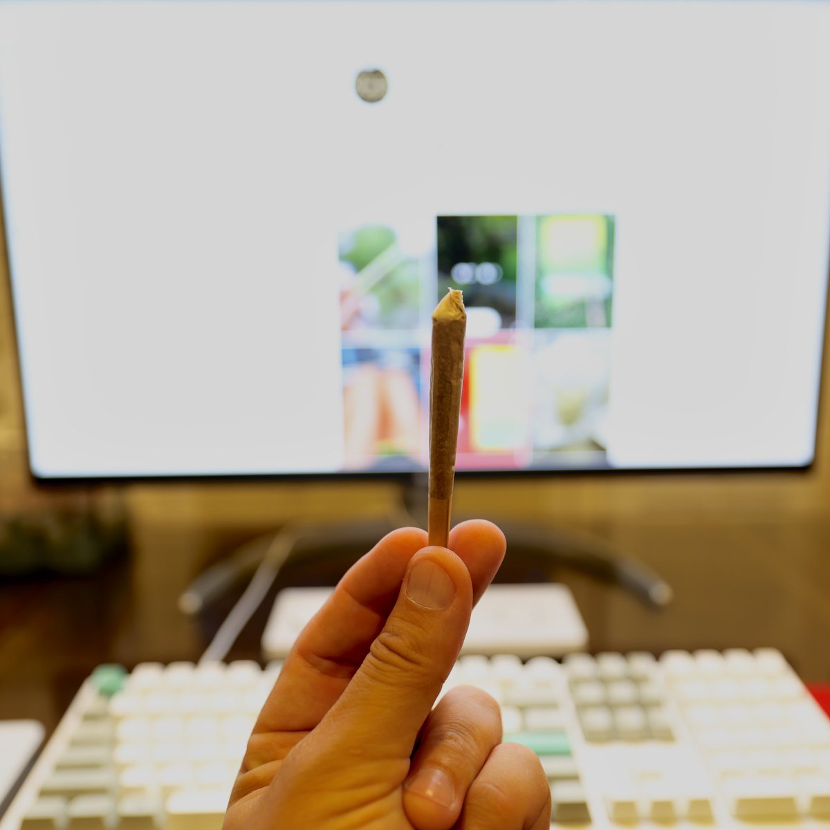 apollo_mgt's tweet image. Ready to start my weekend! 

#preroll #cannabisofthegods #nothingbutfire #kush #stoners #thc #indica #sativa #hybrid #buzznug #nitro #athena #smoke #420 #minorityowned #apollo #apollocultivationmanagement