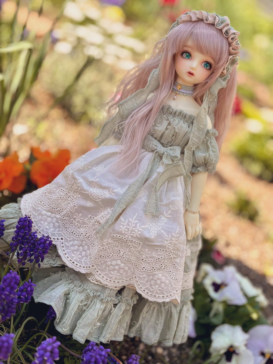 きゃーきゃー！！
ちょっと庭で撮っただけなのにめっちゃ可愛い(੭ु´͈ ᐜ `͈)੭ु⁾⁾♡

 #狸のファンタジー　#SDM33