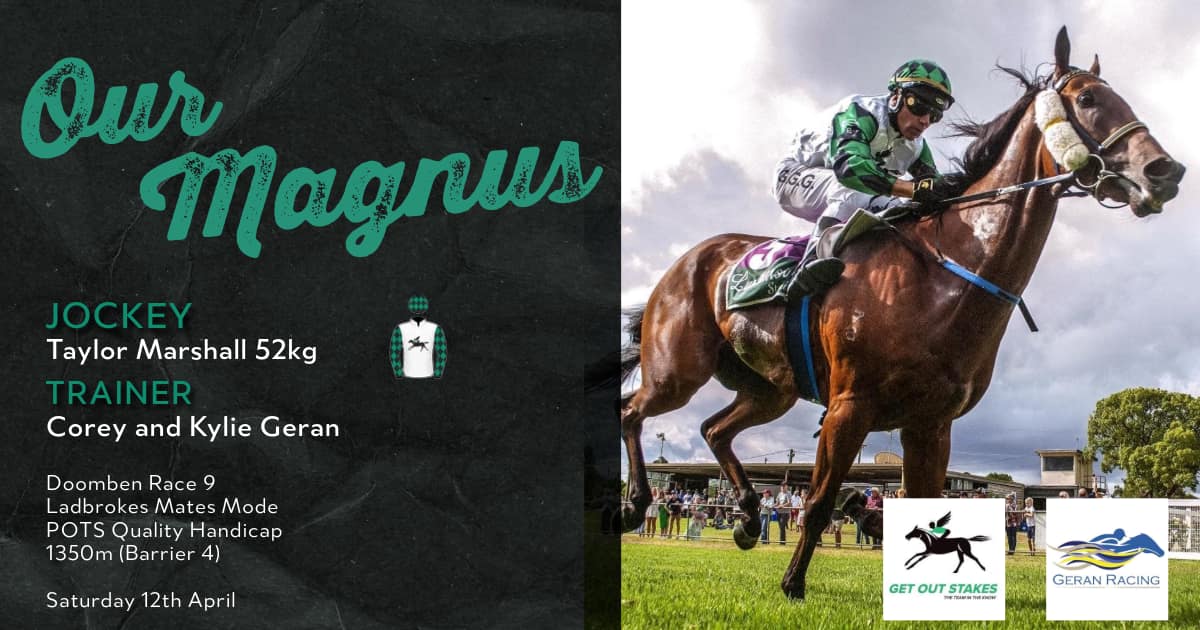 Our little champ will run his usual honest race today. Up in class, but they'll certainly know he's there 💪🤞