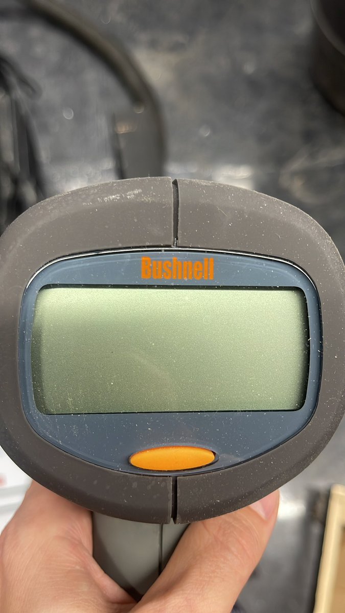 Drew Wilde tweet media