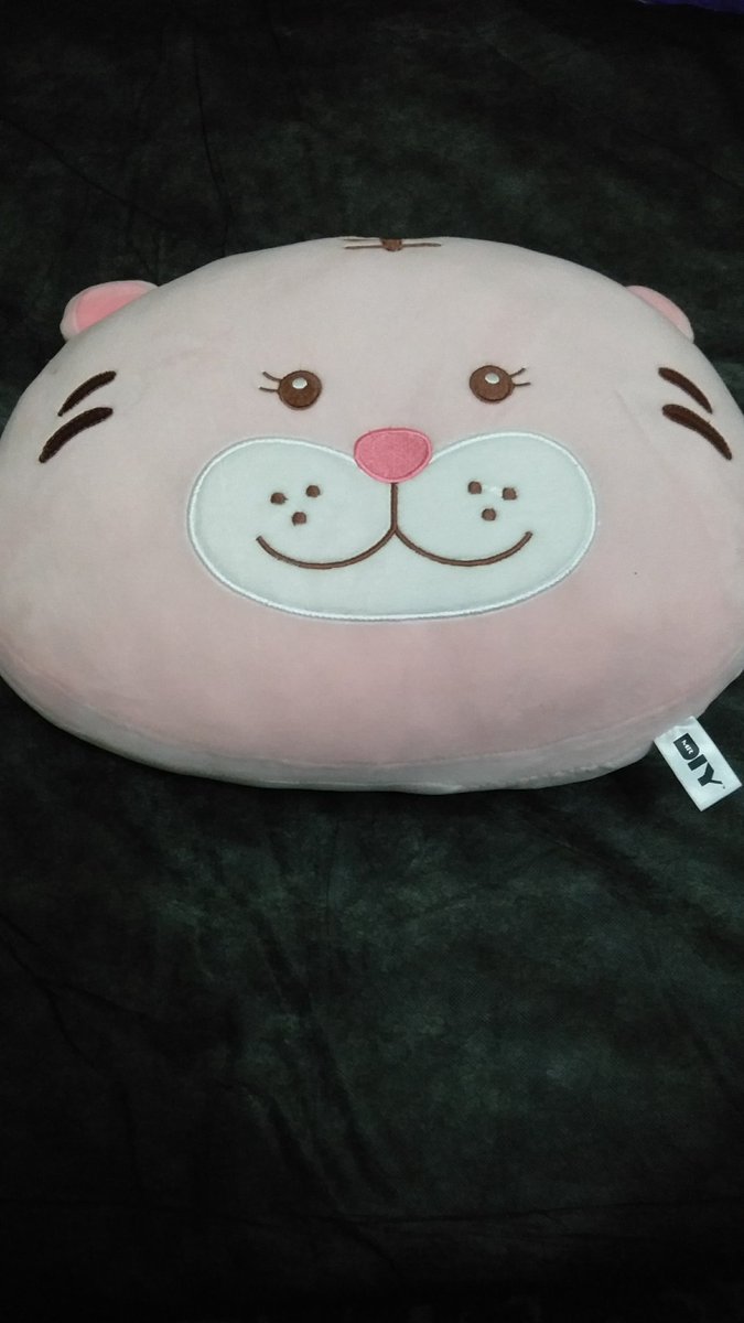 freshmilk99's tweet photo. Bantal kucing, cocok untuk dibawa kemana mana, cek komen ya
#dekorasi 
#الهلال_الاتفاق #jeddah https://t.co/6aigAauXYl