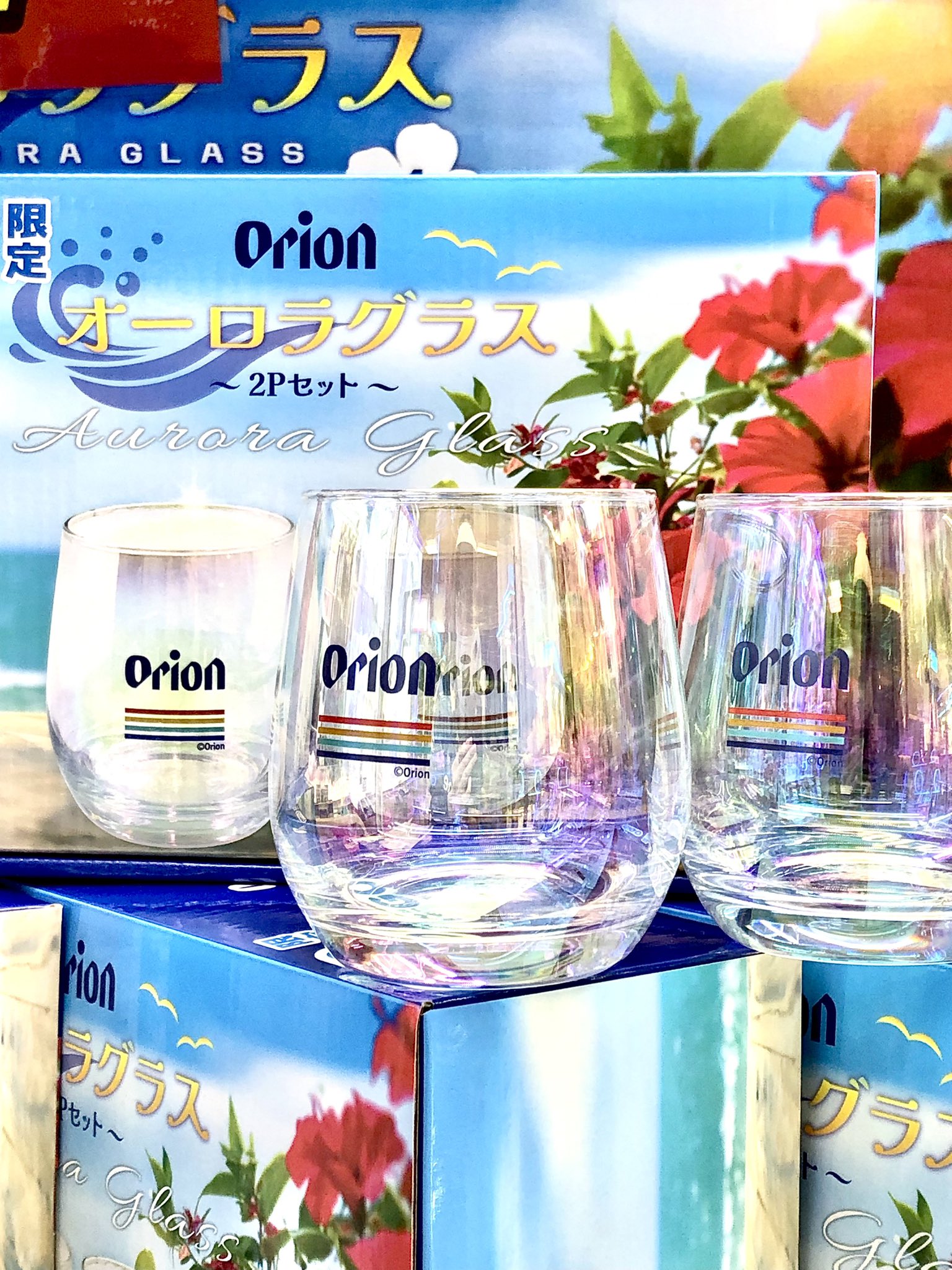 Orion 保温保冷BIGマルチバッグ ～GiGO限定～ | オンライン