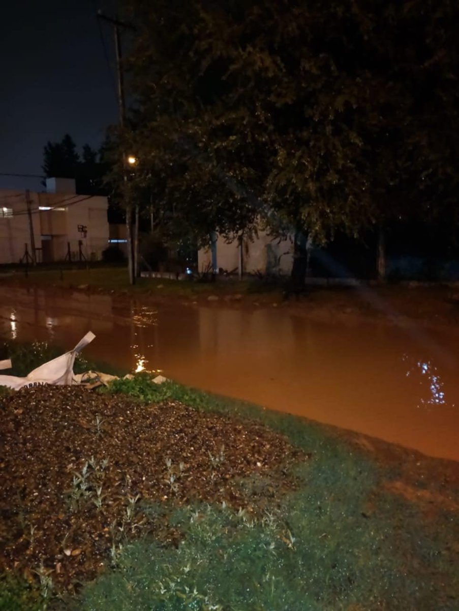 marianela_romay's tweet photo. “Hola Marianela, te mando foto del barrio los olivos. Calle resero y Guido spano 1300 y 2900 y la otra es Felipe Varela 1300” https://t.co/NRgUklStOR