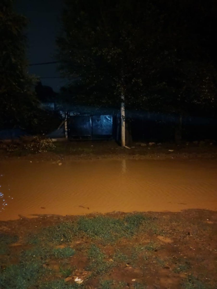 marianela_romay's tweet photo. “Hola Marianela, te mando foto del barrio los olivos. Calle resero y Guido spano 1300 y 2900 y la otra es Felipe Varela 1300” https://t.co/NRgUklStOR
