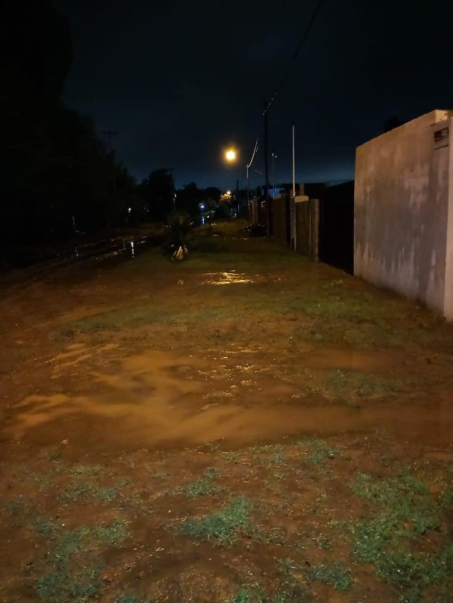 marianela_romay's tweet photo. “Hola Marianela, te mando foto del barrio los olivos. Calle resero y Guido spano 1300 y 2900 y la otra es Felipe Varela 1300” https://t.co/NRgUklStOR