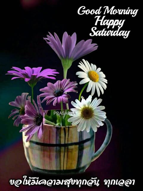 unclekui52's tweet photo. Have a nice weekend
12/04/2025 https://t.co/OGtehVO2Te